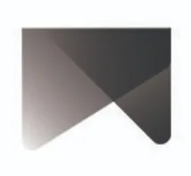 Brands Novel